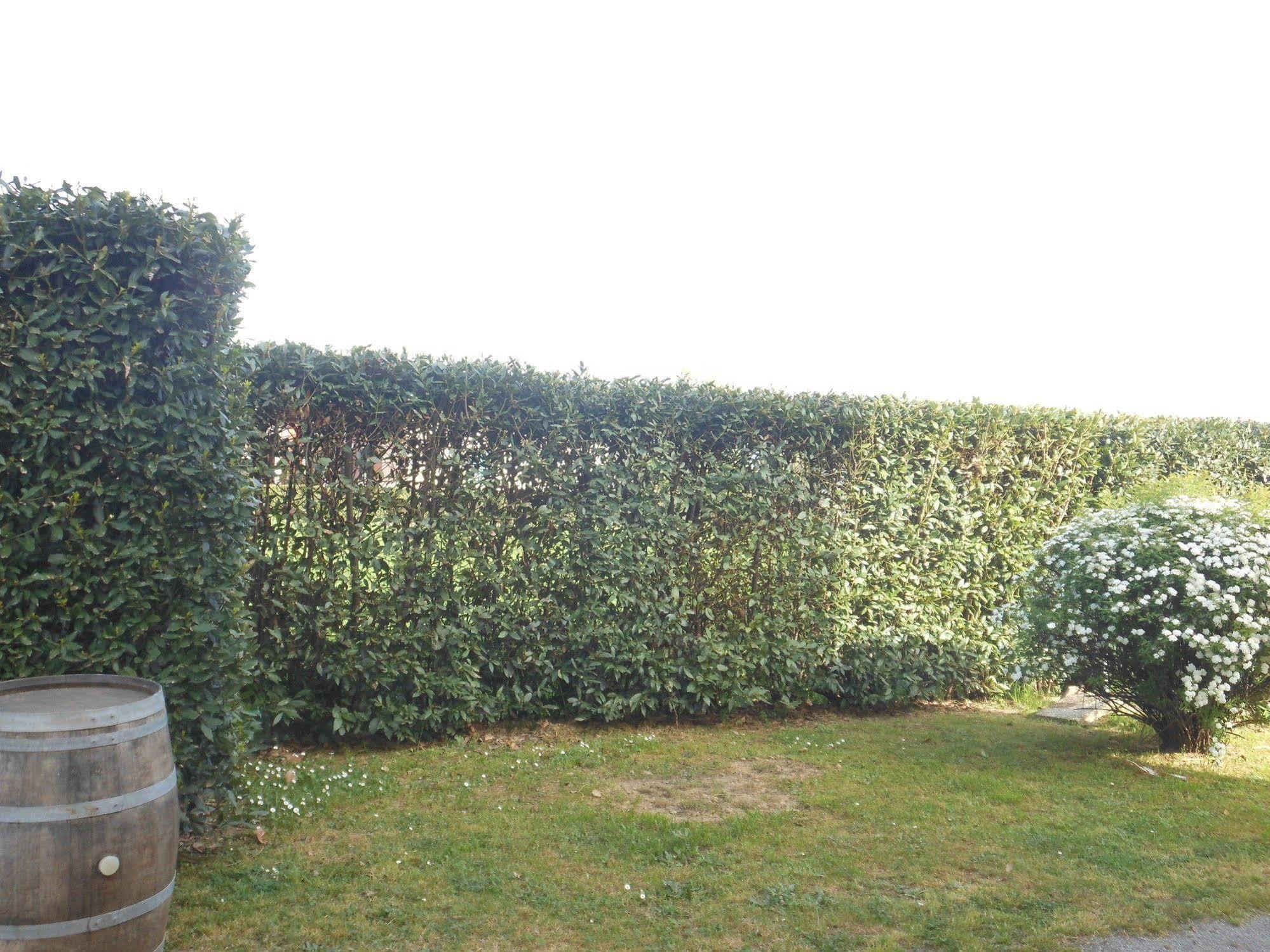 B&B La Corte Capannori Extérieur photo